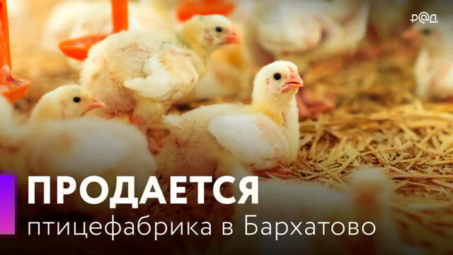 Продается птицефабрика "Бархатовская"